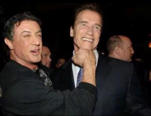 Rambo bettet sich ins Hästens Bett