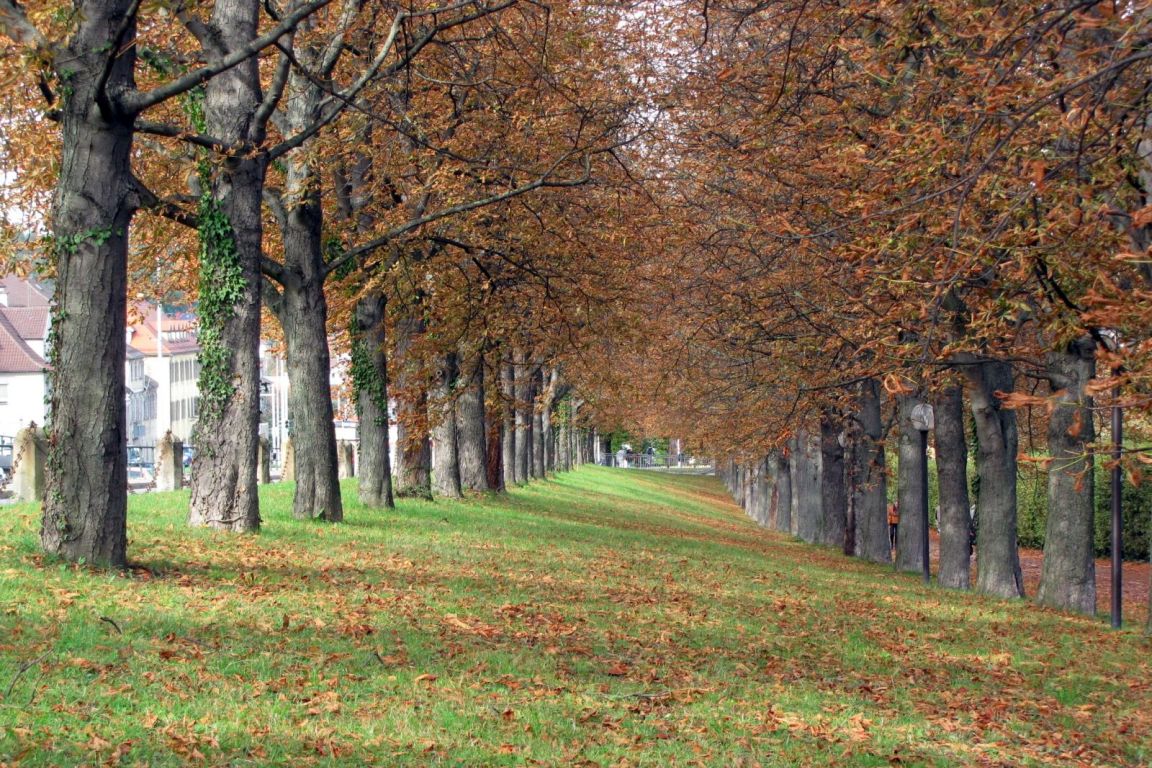 Annamartha / pixelio.de